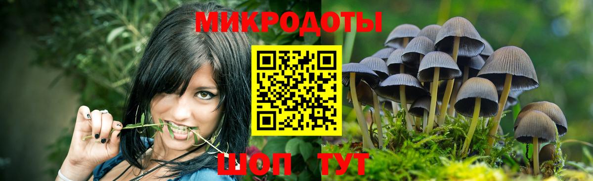 Тобольск  Псилоцибиновые грибы GOLDEN TEACHER  Псилоцибиновые грибы Psilocybine cubensis  Вход с VPN 